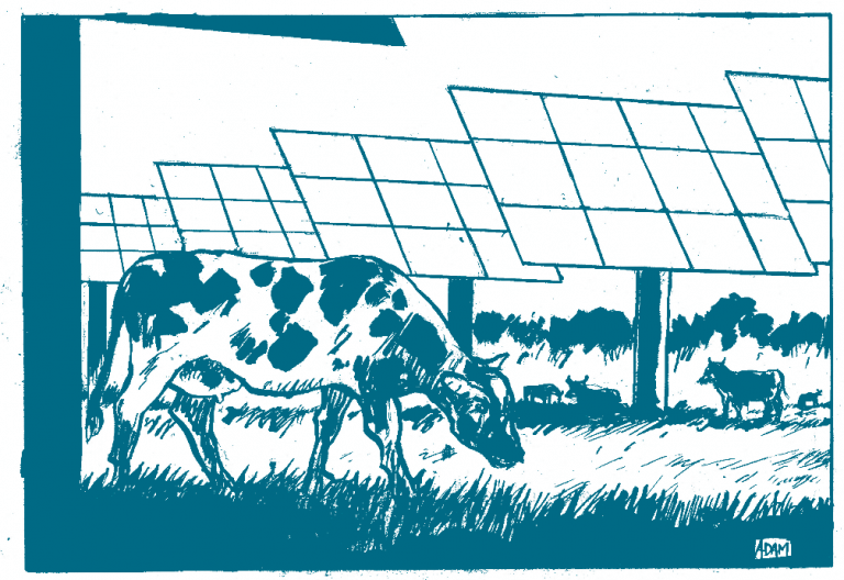 L’évangéliste du photovoltaïque agricole