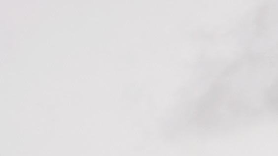 Rémi Fraisse. L&rsquo;état condamné