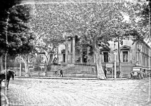 photo en noir et blanc du tribunal de Perpignan avec un grand arbre devant (agence Rol, 1931, via Gallica BNF)