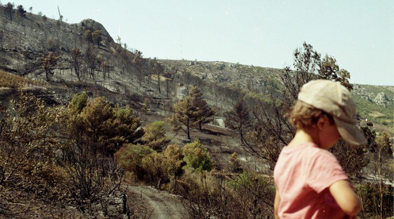 Enfant de dos, avec une casquette, au premier plan d'un paysage de montagnes brûlées