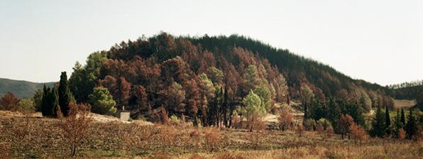 paysage brûlé des Corbières