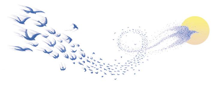 dessin d'une nuée d'oiseaux qui convergent vers le soleil