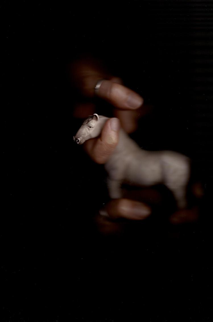 Ni derrière ni devant