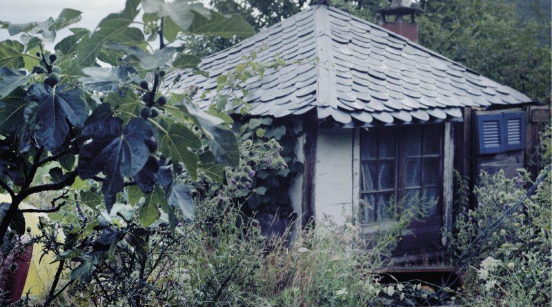 photo d'une petite maison entourée d'arbres et d'arbustes
