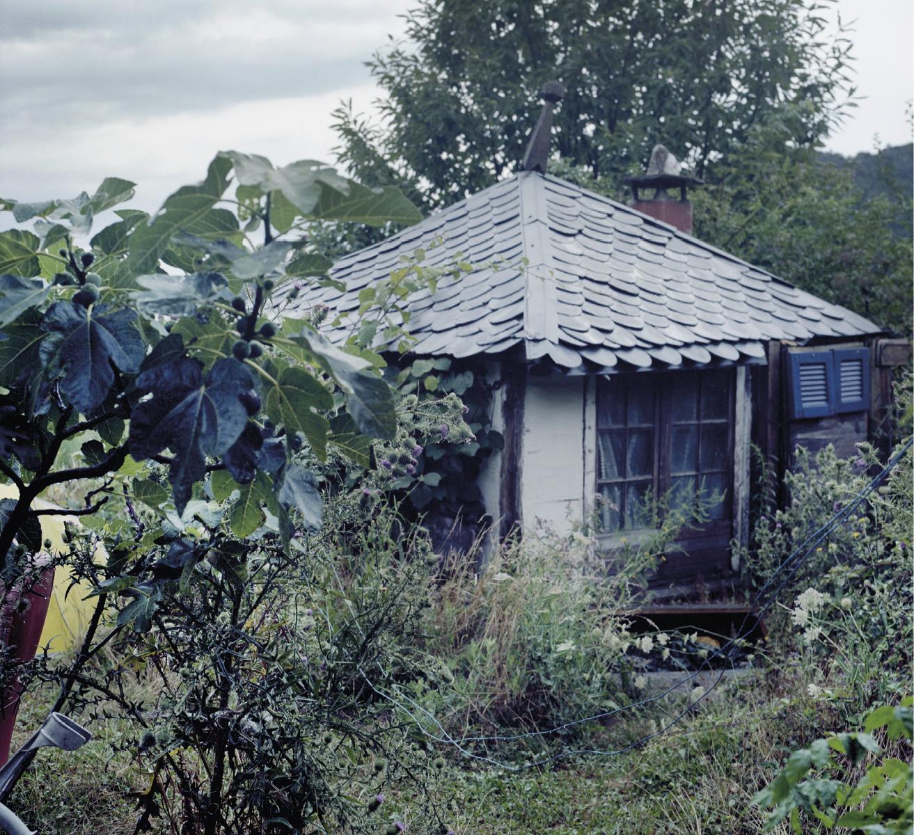 photo d'une petite maison entourée d'arbres et d'arbustes