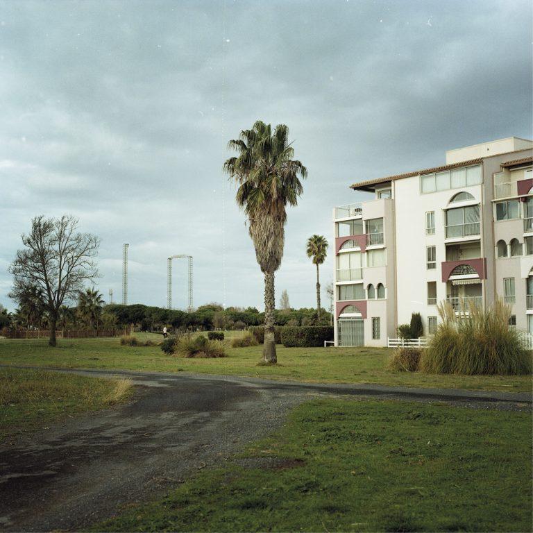 Paysage urbain&nbsp;: à droite, bâtiment résidentiel. Au milieu, palmier. A gauche, structures métalliques hautes et végétation.