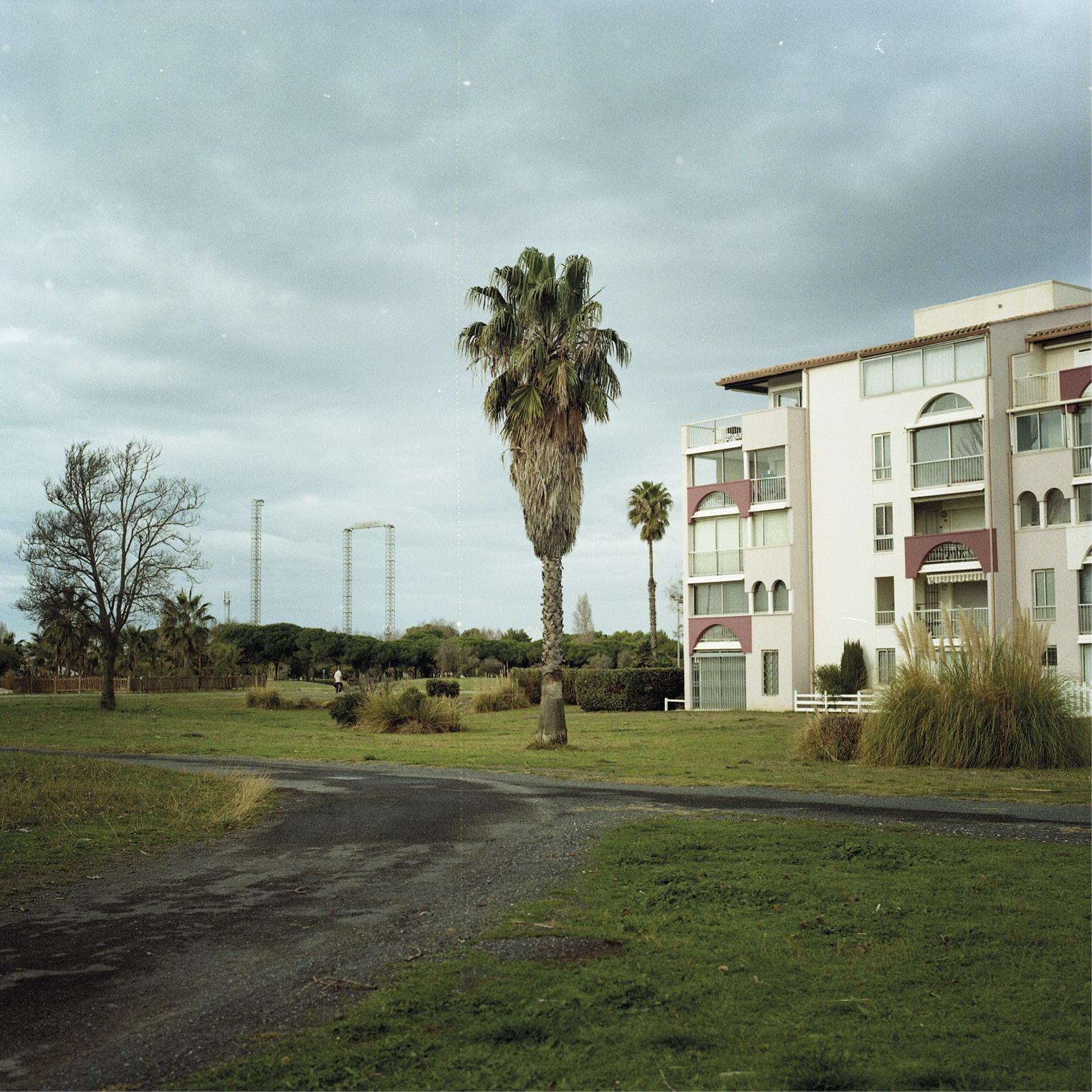 Paysage urbain&nbsp;: à droite, bâtiment résidentiel. Au milieu, palmier. A gauche, structures métalliques hautes et végétation.