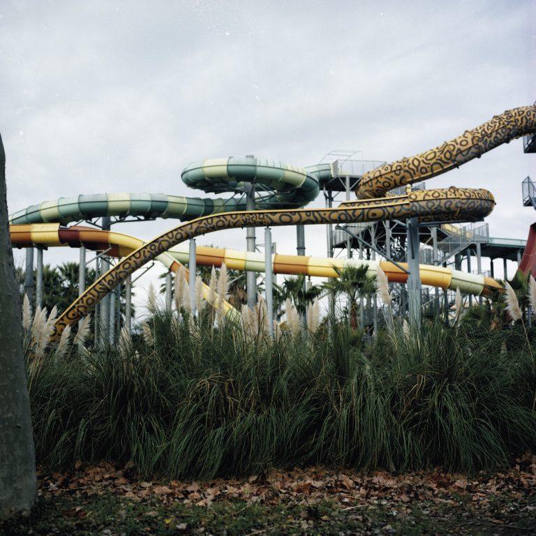 Grands toboggans de piscine s'entremêlant, végétation et feuilles mortes.