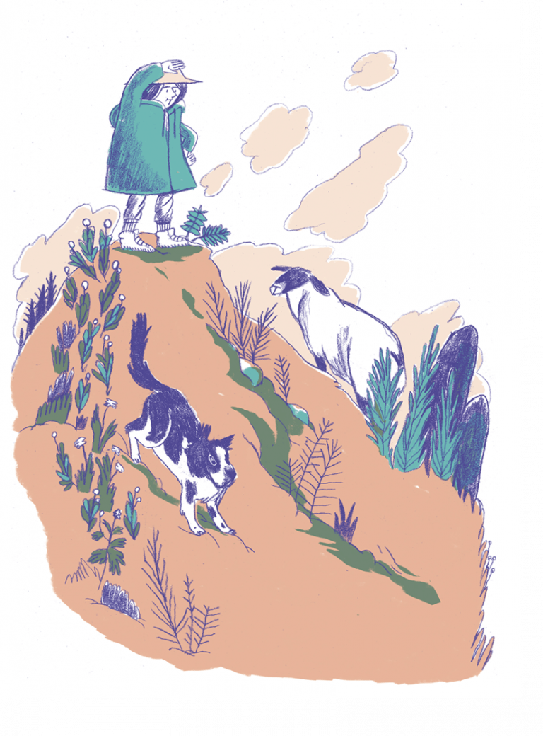 Dessin d'une femme en haut d'une montagne avec un patou et une brebis