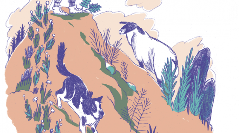 Dessin d'une femme en haut d'une montagne avec un patou et une brebis