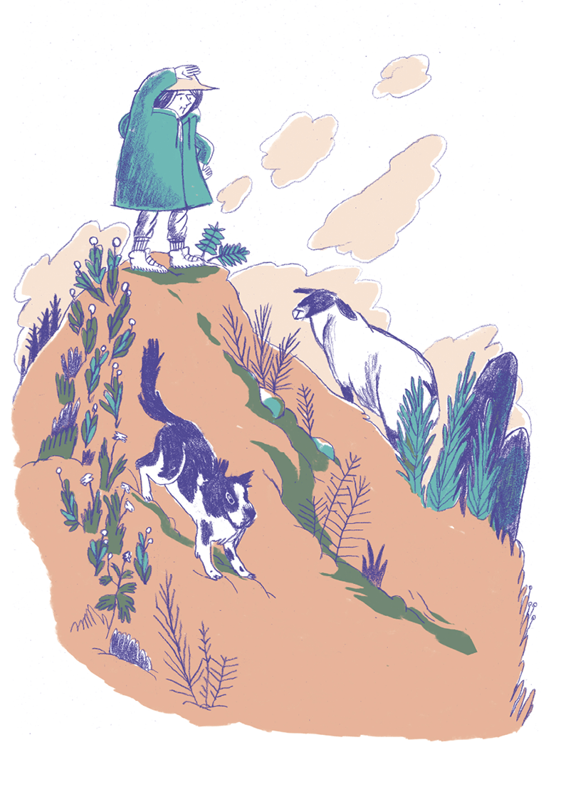 Dessin d'une femme en haut d'une montagne avec un patou et une brebis