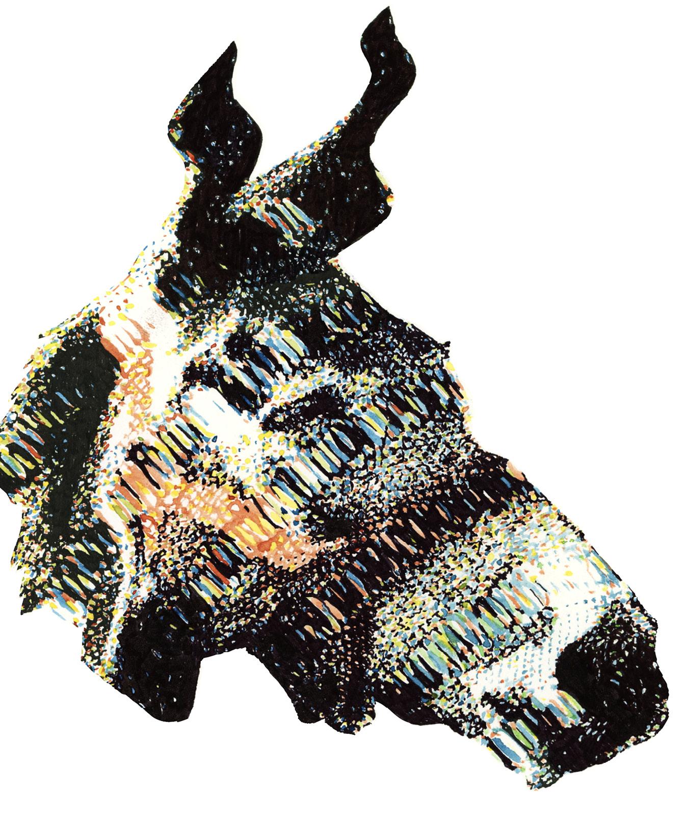 dessin d'une tête de mule